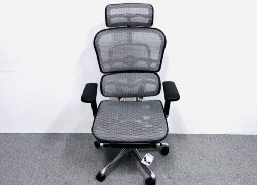 Ergohuman