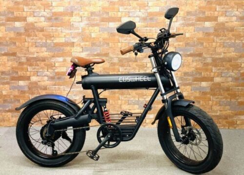 COSWHEEL-1