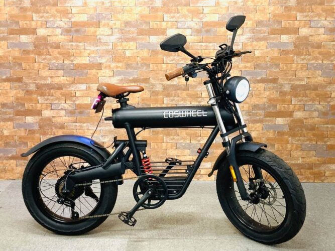 COSWHEEL-1